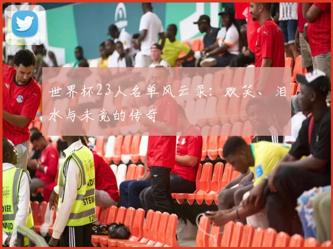 世界杯23人名单风云录:欢笑、泪水与未竟的传奇