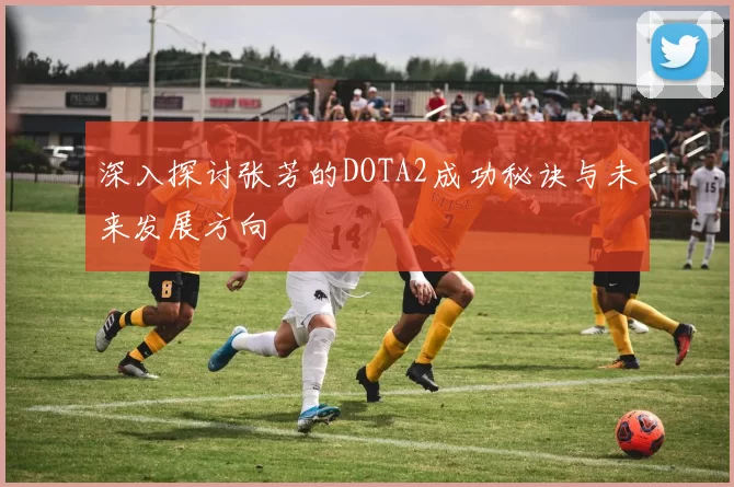 深入探讨张芳的DOTA2成功秘诀与未来发展方向