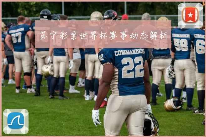 苏宁彩票世界杯赛事动态解析