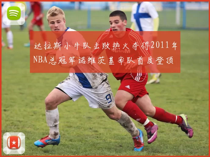 达拉斯小牛队击败热火夺得2011年NBA总冠军诺维茨基率队首度登顶
