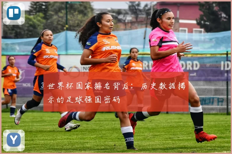 世界杯国家排名背后：历史数据揭示的足球强国密码