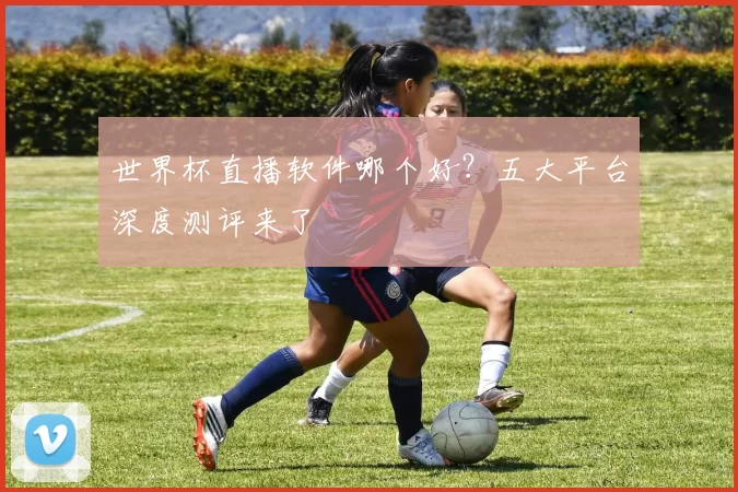 世界杯直播软件哪个好?五大平台深度测评来了
