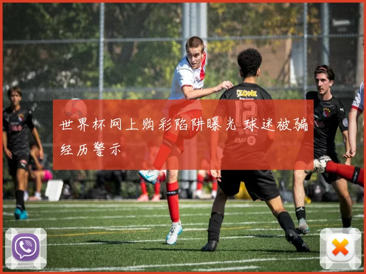 世界杯网上购彩陷阱曝光 球迷被骗经历警示