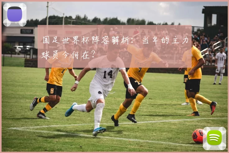 国足世界杯阵容解析:当年的主力球员今何在?