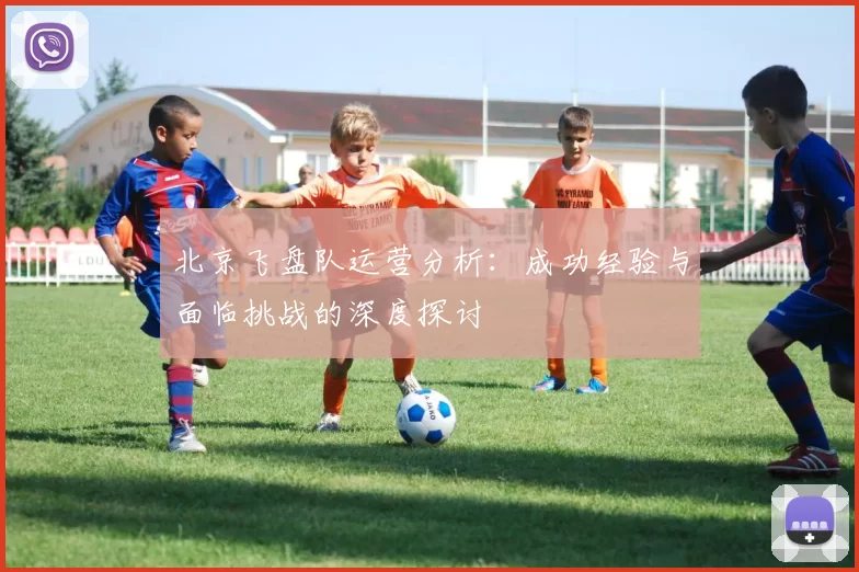 北京飞盘队运营分析:成功经验与面临挑战的深度探讨