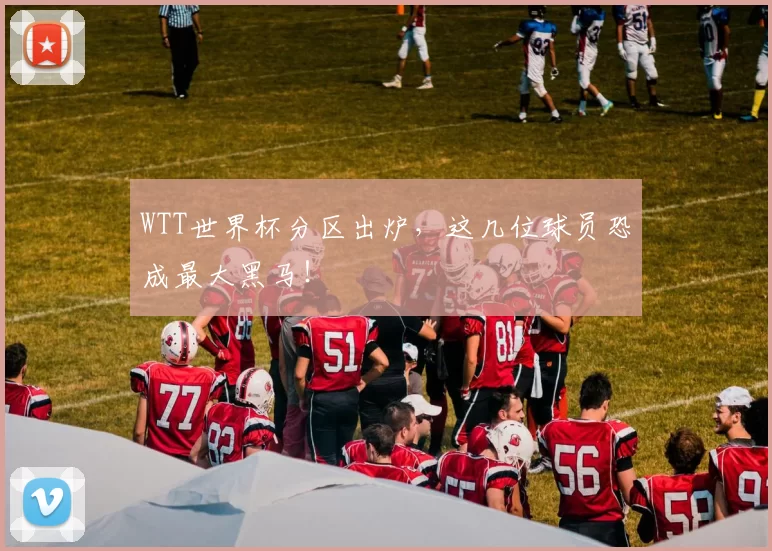 WTT世界杯分区出炉,这几位球员恐成最大黑马!