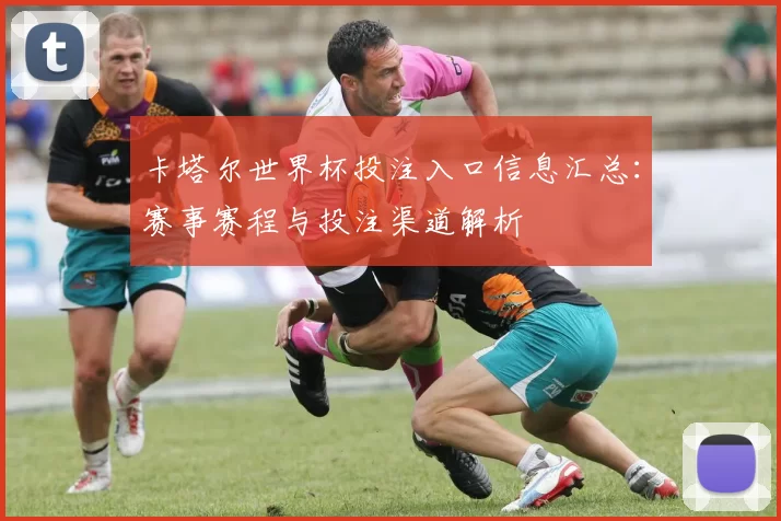 卡塔尔世界杯投注入口信息汇总：赛事赛程与投注渠道解析