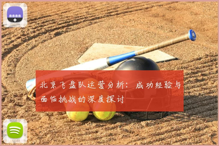 北京飞盘队运营分析:成功经验与面临挑战的深度探讨